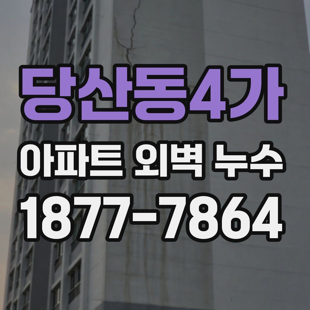당산동4가 아파트 외벽 누수 점검 시 전문가가 보는 기준