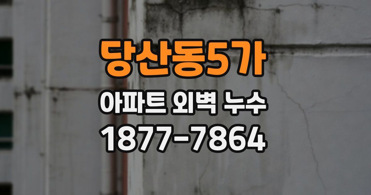 당산동5가 아파트 외벽 누수