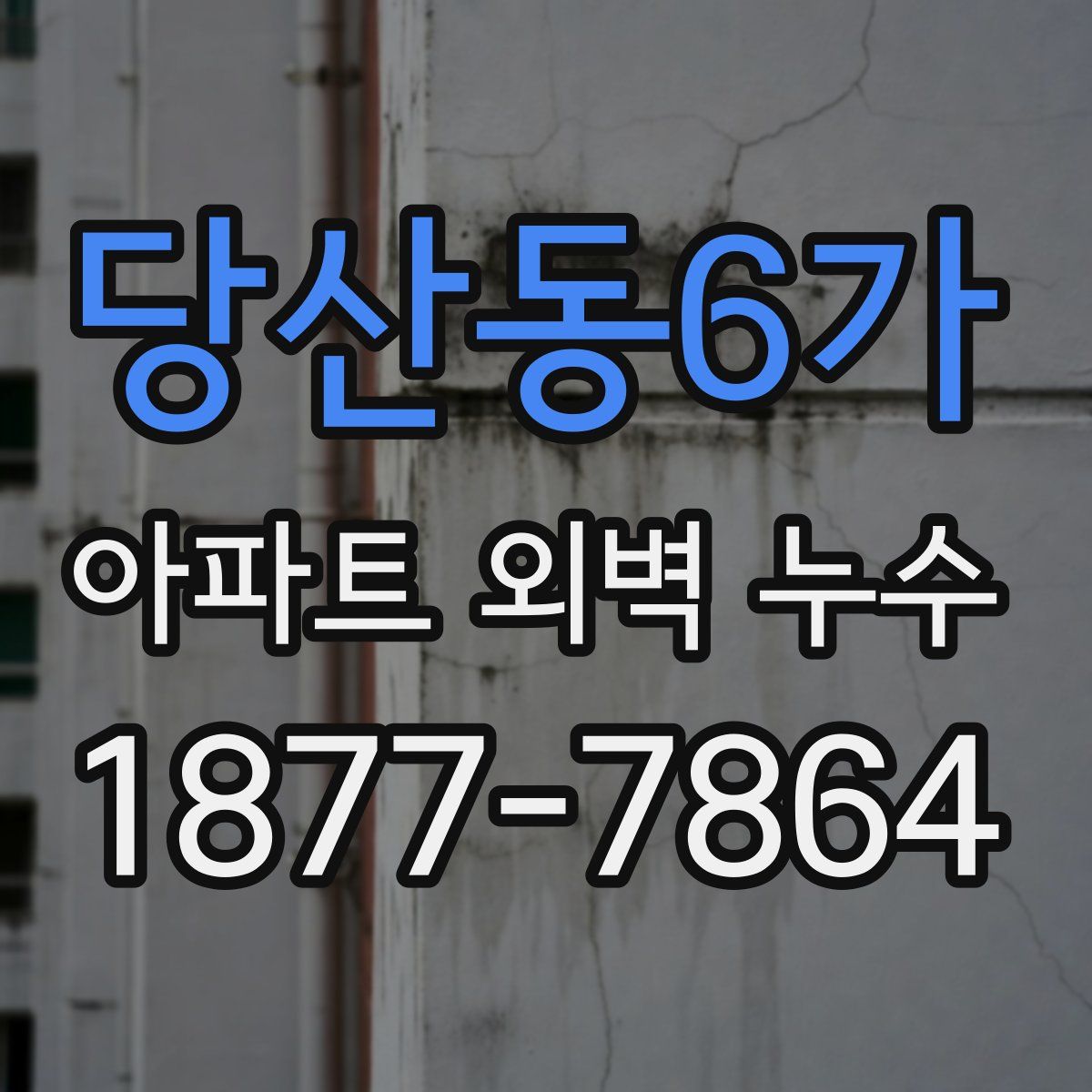 당산동6가 아파트 외벽 누수