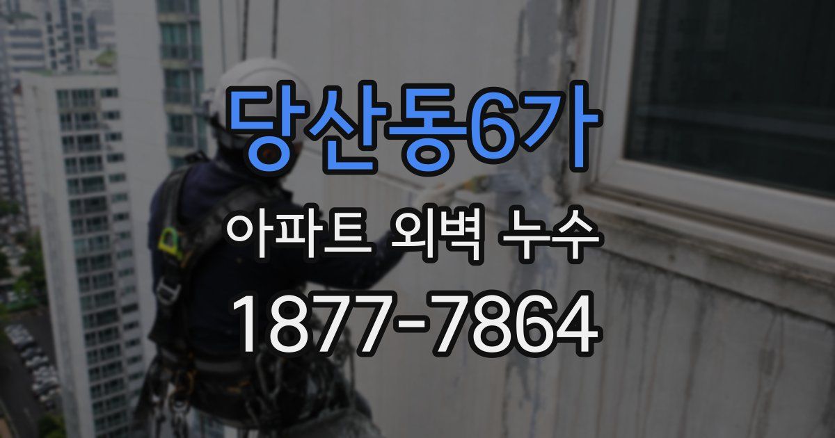 당산동6가 아파트 외벽 누수