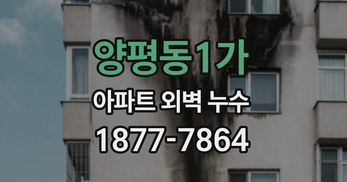양평동1가 아파트 외벽 누수