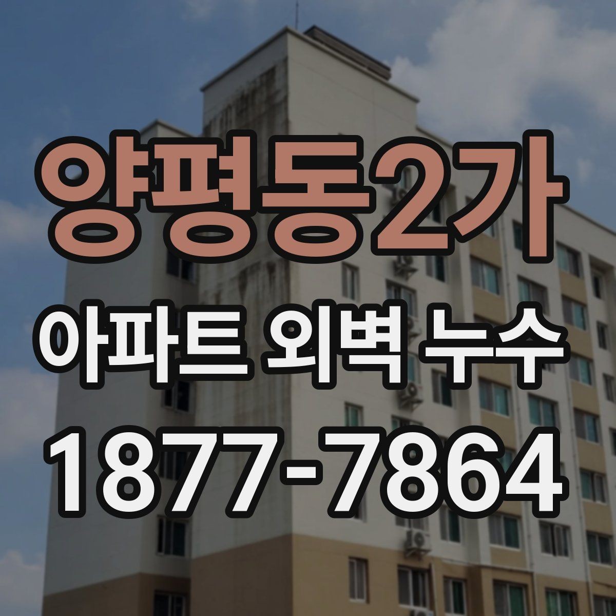 양평동2가 아파트 외벽 누수 조사 과정에서 놓치기 쉬운 부분