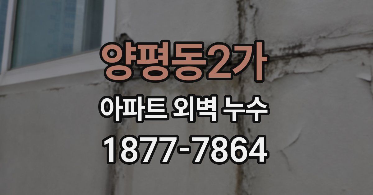 양평동2가 아파트 외벽 누수