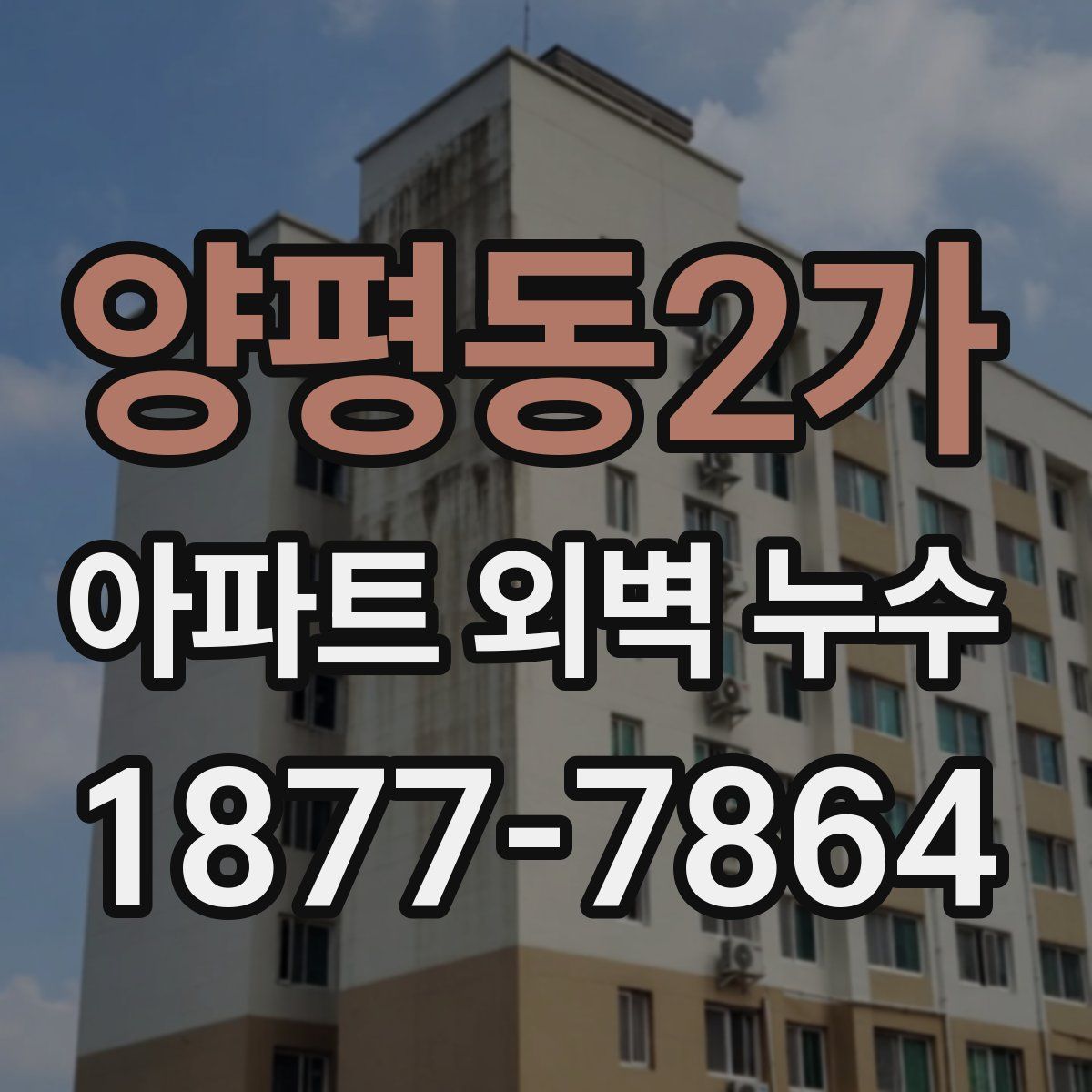 양평동2가 아파트 외벽 누수