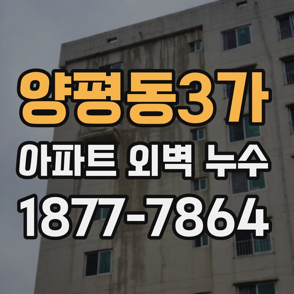 양평동3가 아파트 외벽 누수