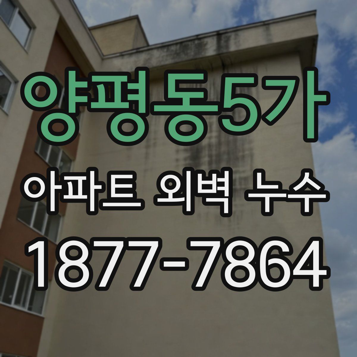 양평동5가 아파트 외벽 누수