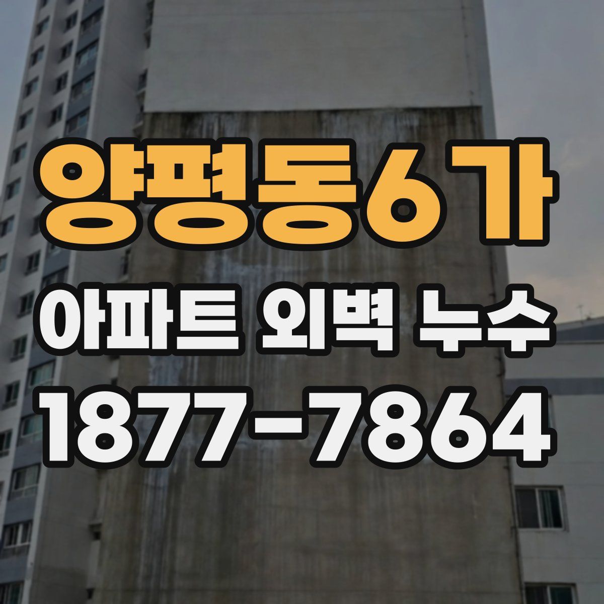양평동6가 아파트 외벽 누수