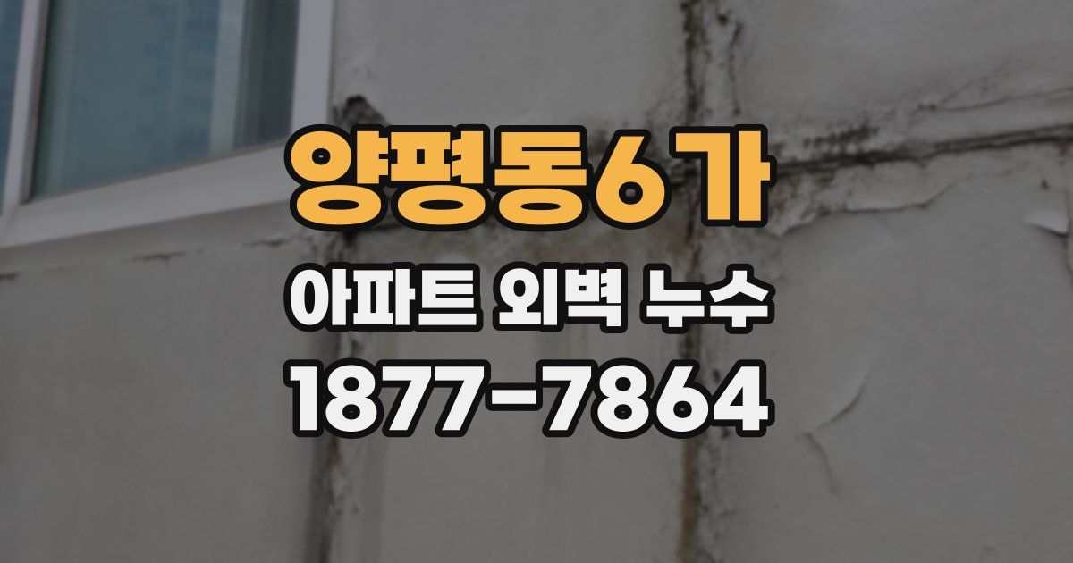 양평동6가 아파트 외벽 누수