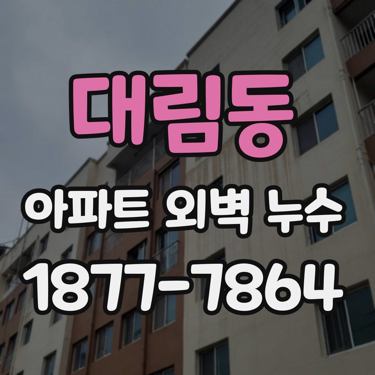 대림동 아파트 외벽 누수