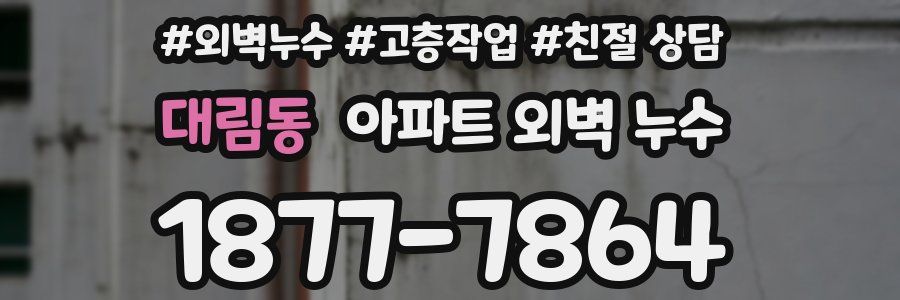 대림동 아파트 외벽 누수
