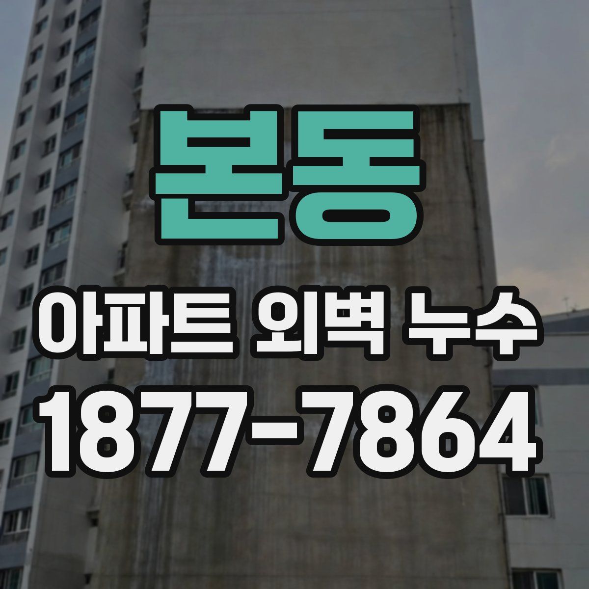 본동 아파트 외벽 누수