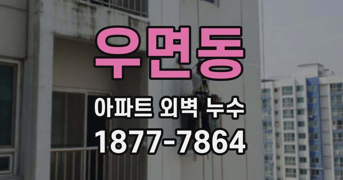 우면동 아파트 외벽 누수