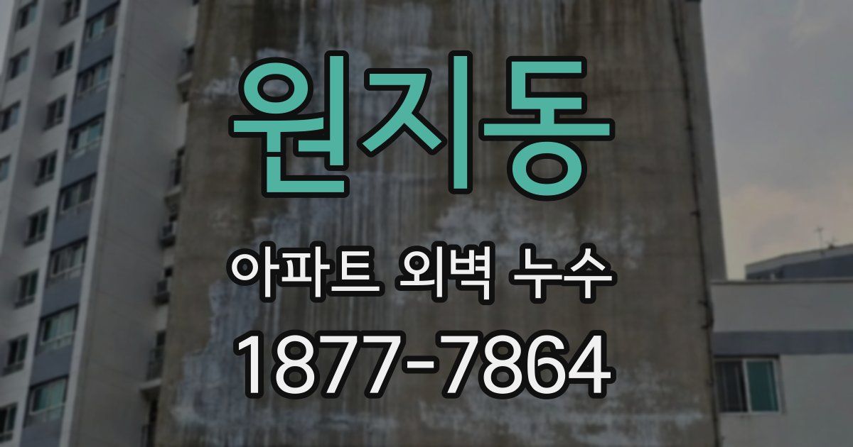 원지동 아파트 외벽 누수