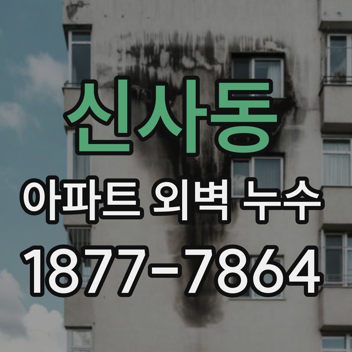 신사동 아파트 외벽 누수