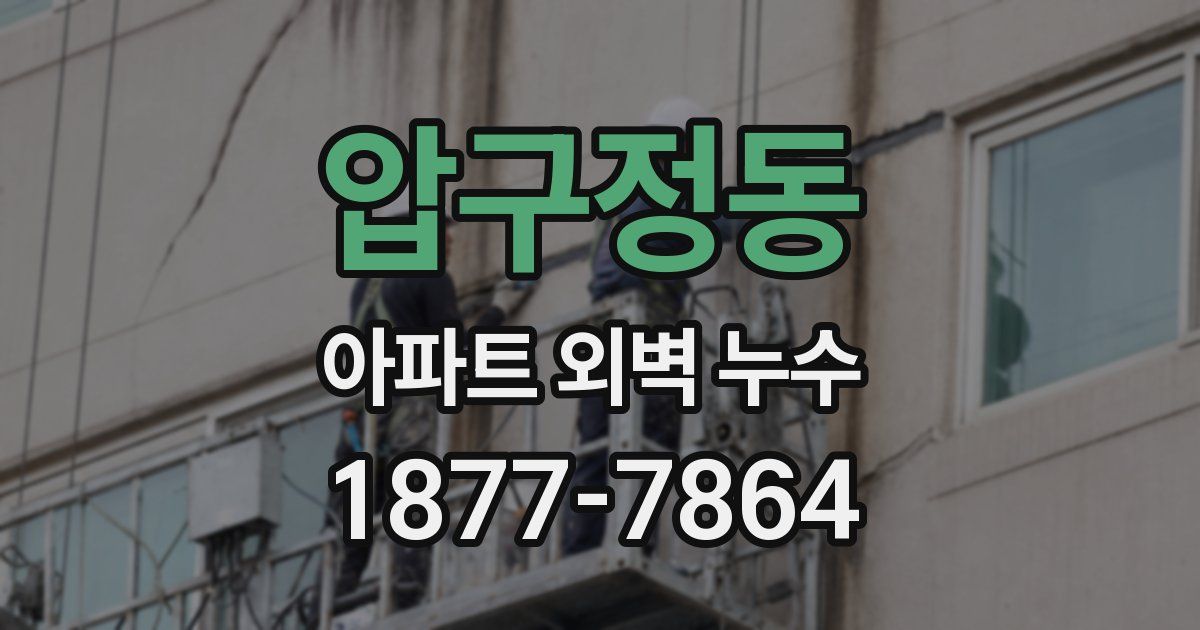 압구정동 아파트 외벽 누수