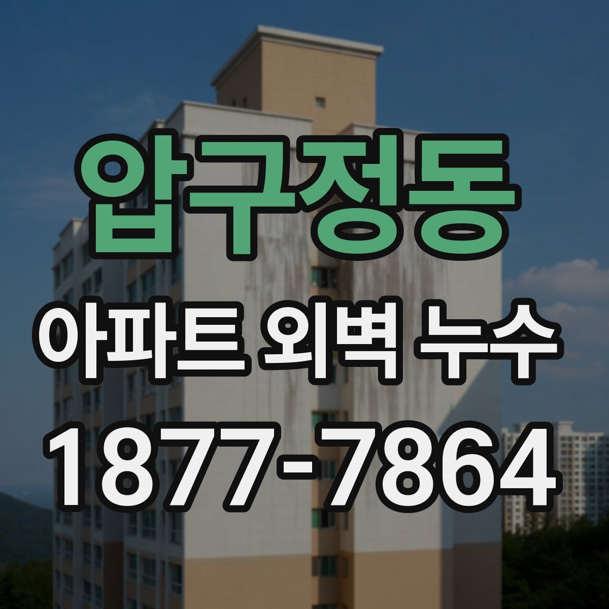 압구정동 아파트 외벽 누수