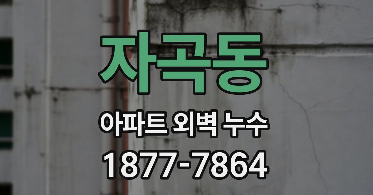 자곡동 아파트 외벽 누수