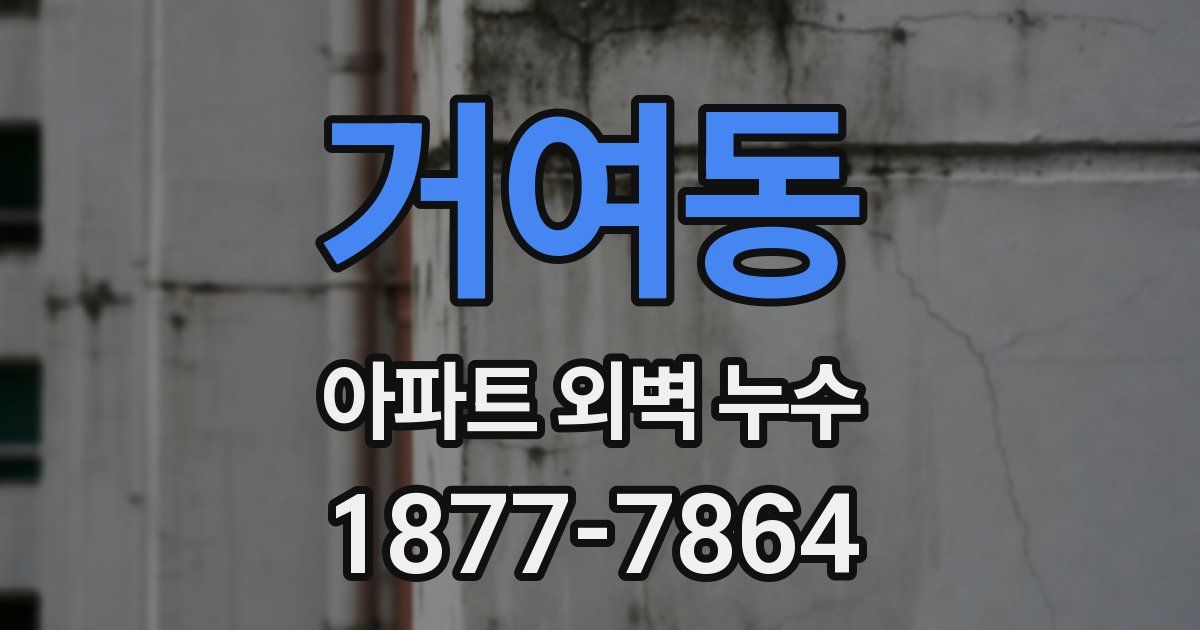 거여동 아파트 외벽 누수