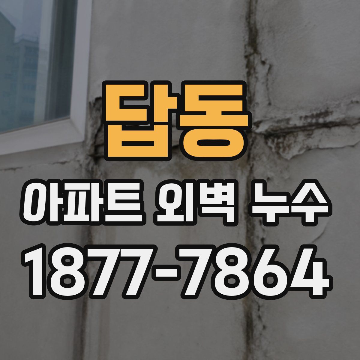 답동 아파트 외벽 누수