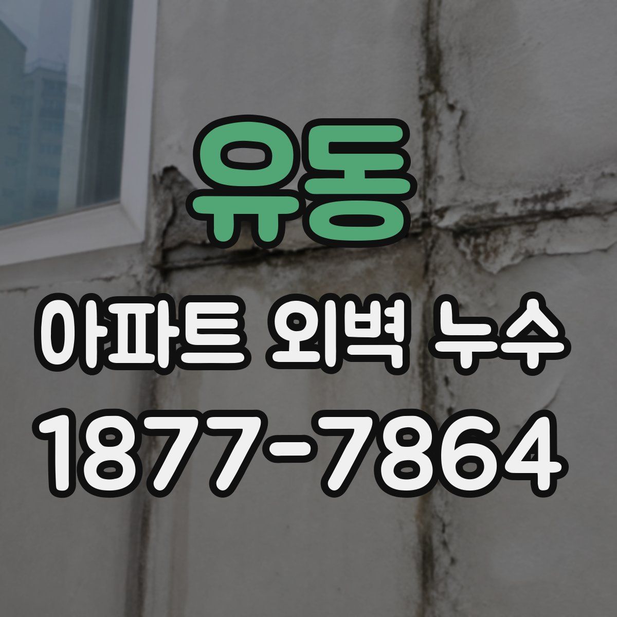 유동 아파트 외벽 누수