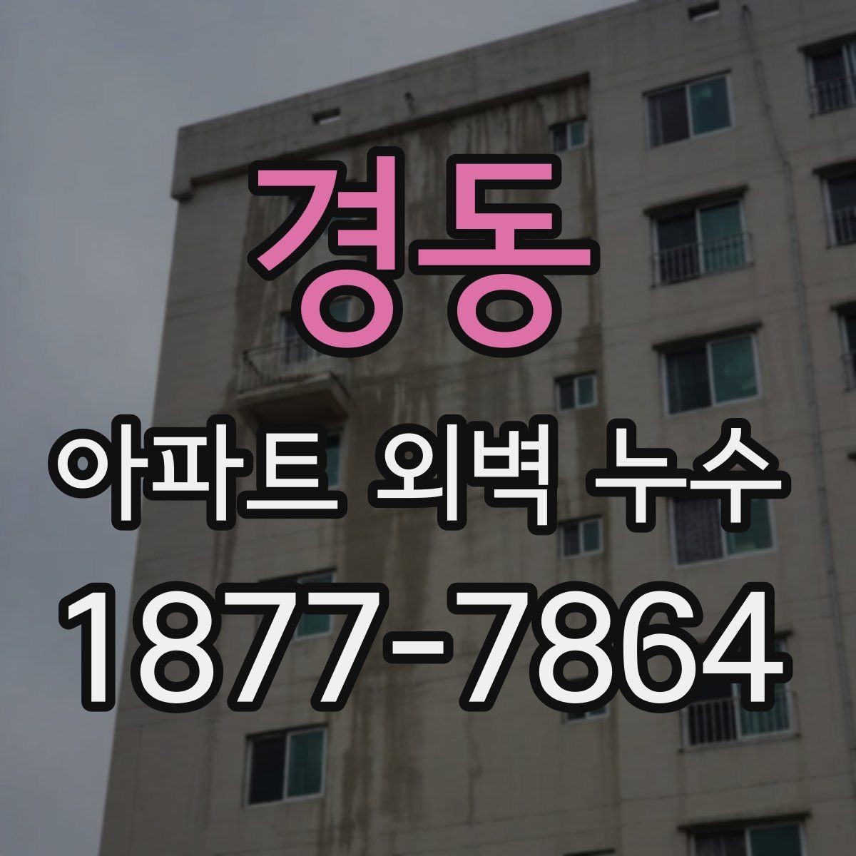 경동 아파트 외벽 누수 전문 진단이 필요한 경우