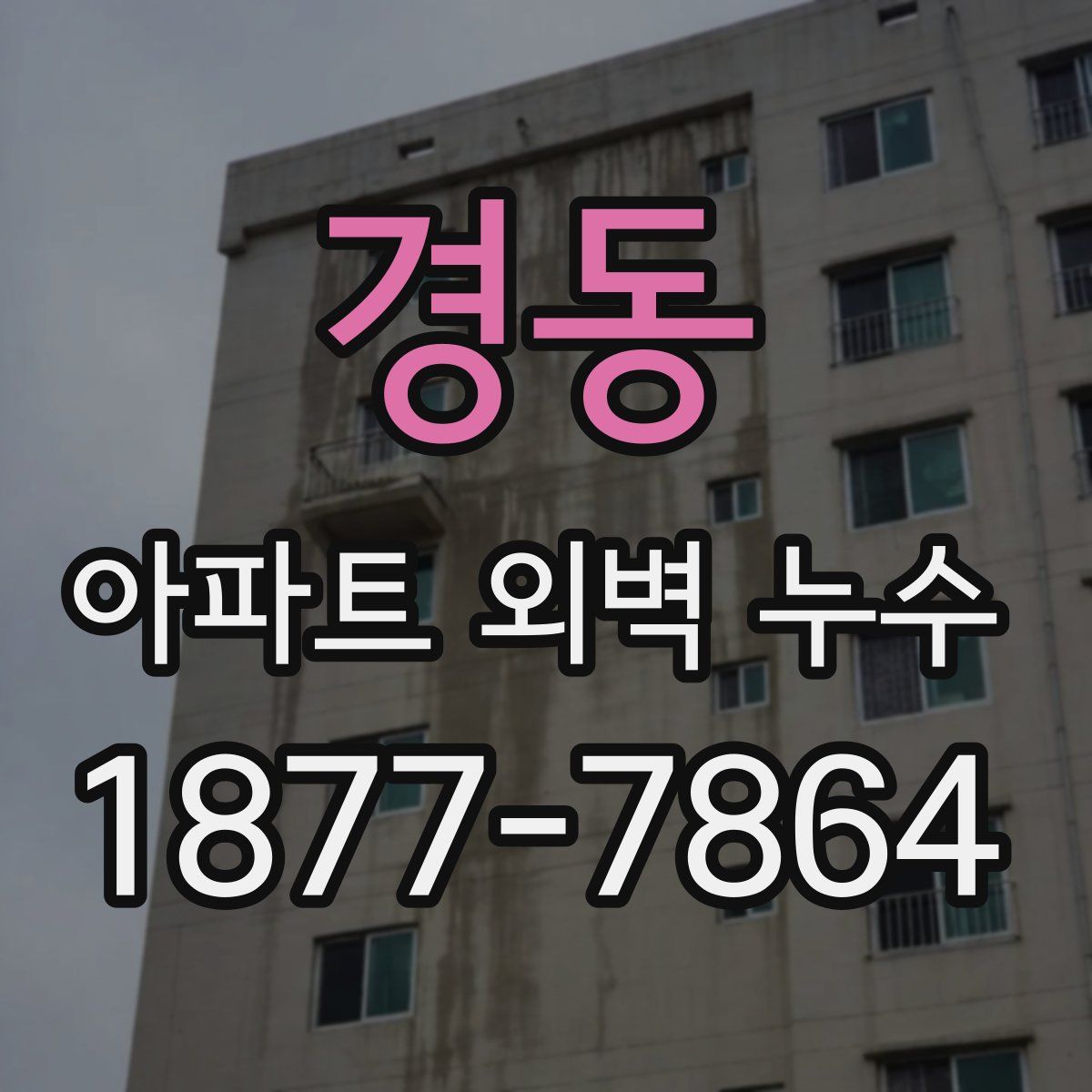 경동 아파트 외벽 누수
