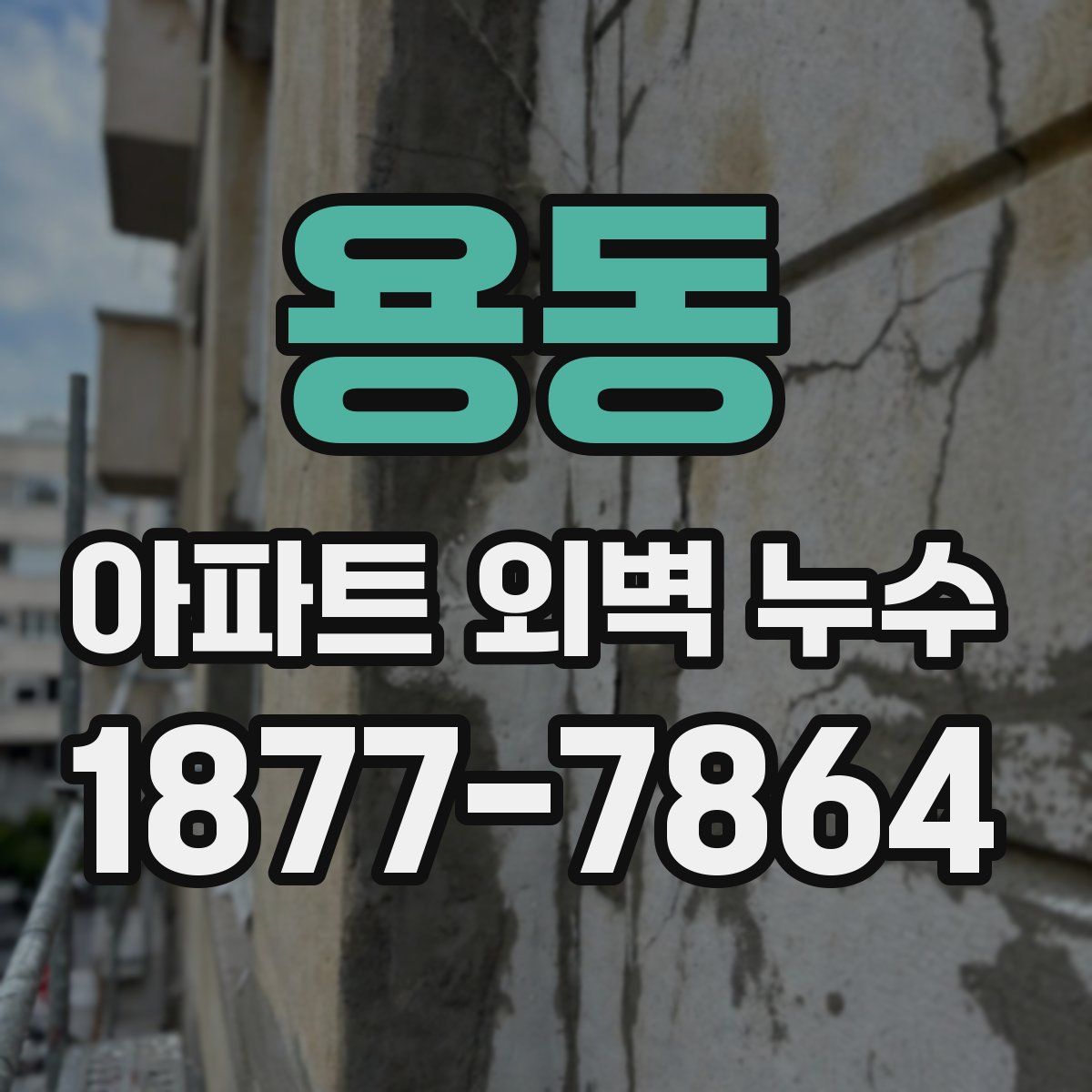 용동 아파트 외벽 누수