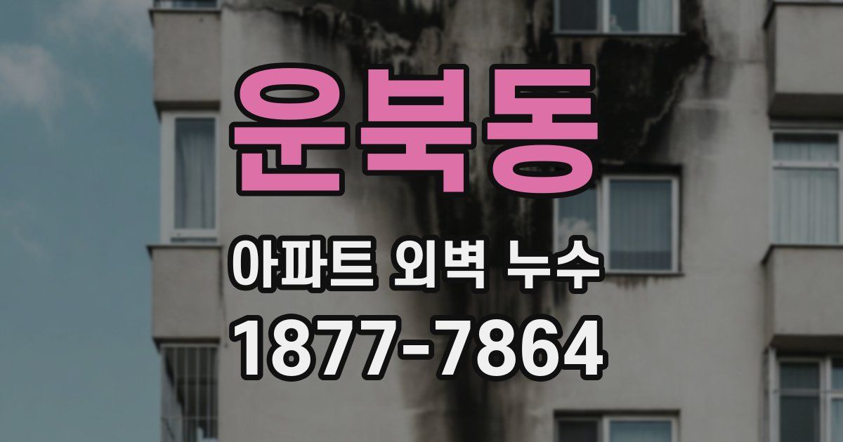 운북동 아파트 외벽 누수