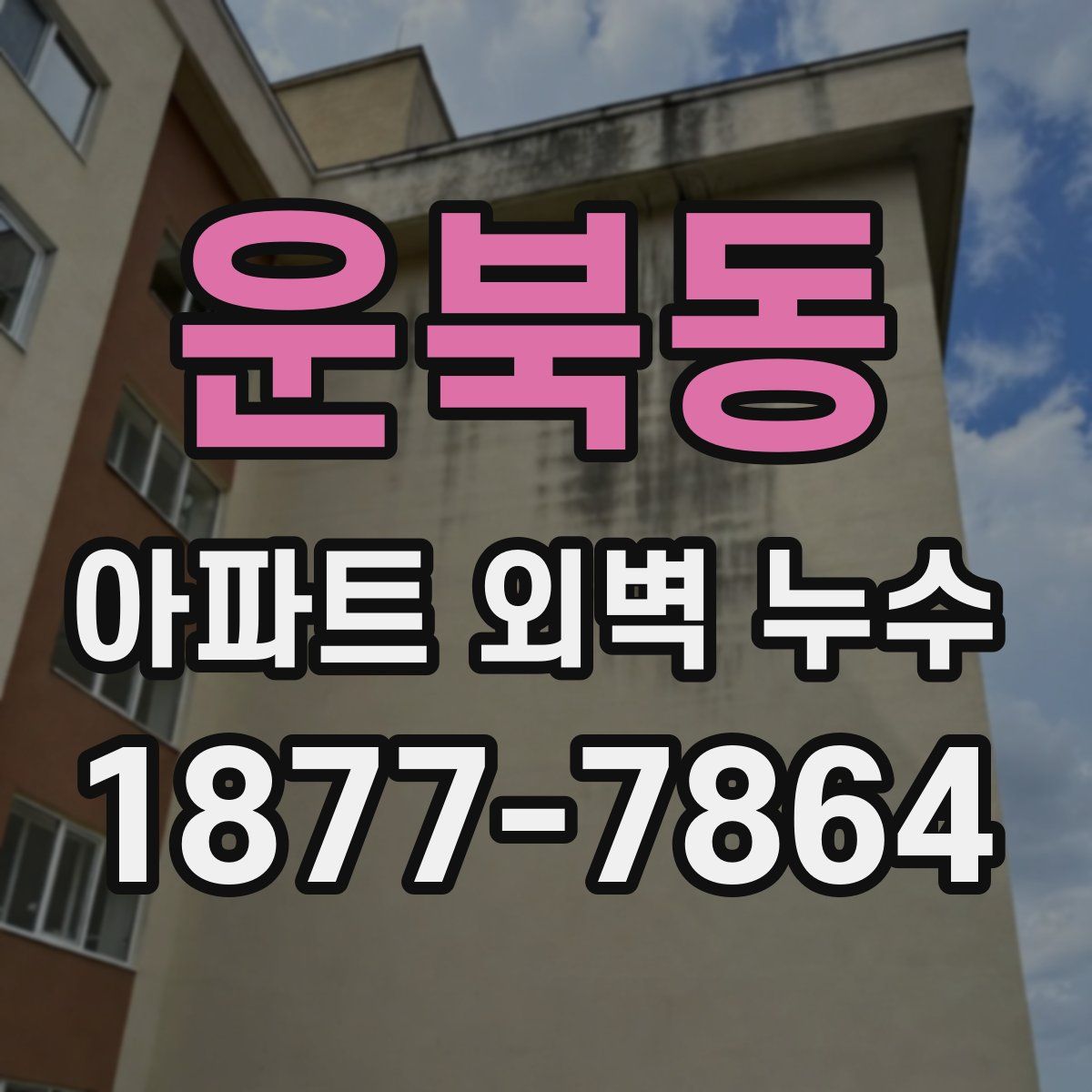 운북동 아파트 외벽 누수