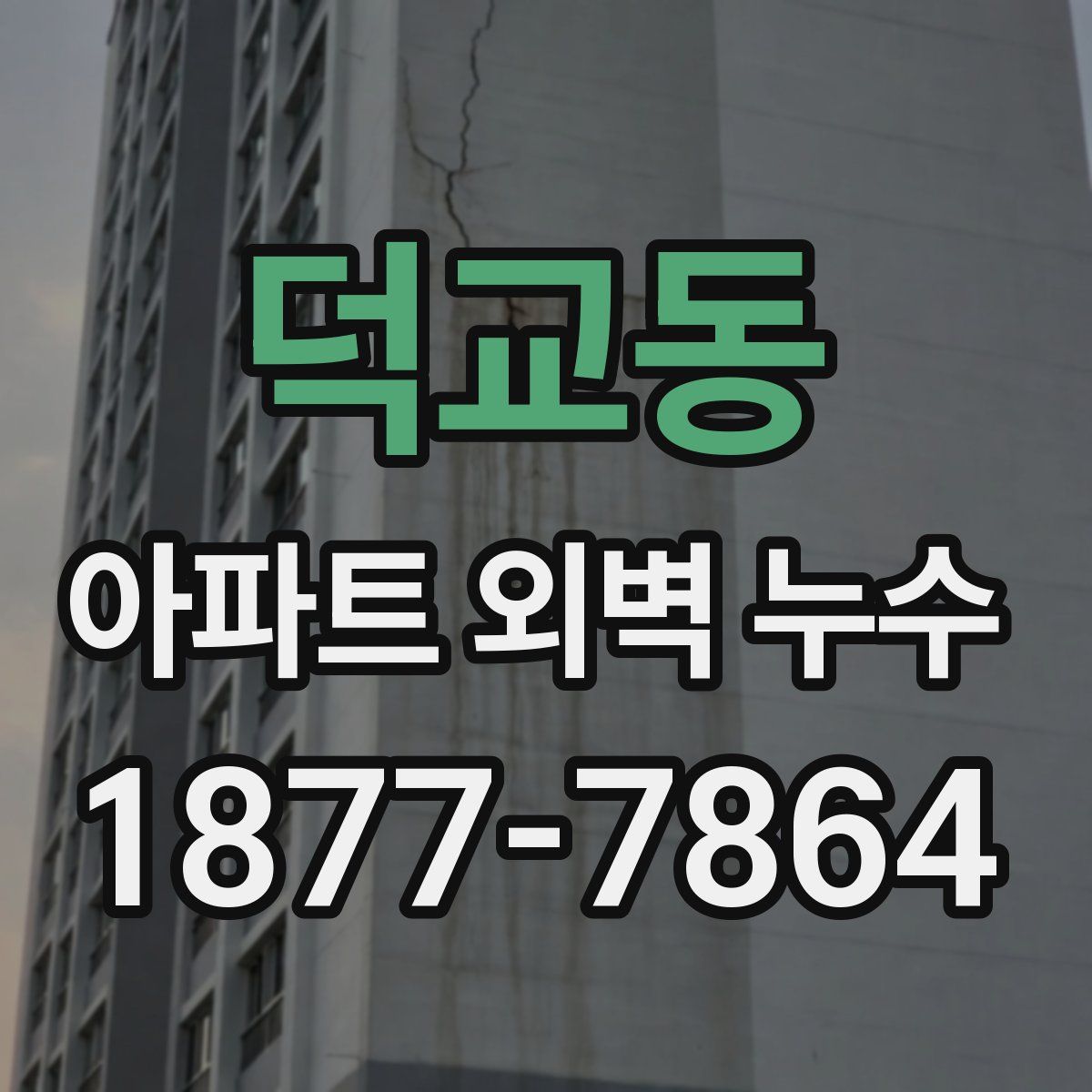 덕교동 아파트 외벽 누수