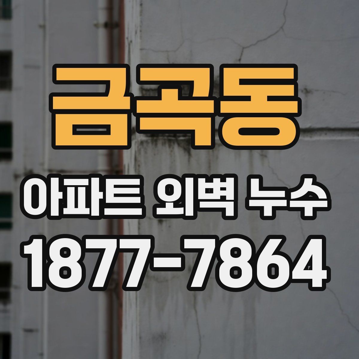 금곡동 아파트 외벽 누수 진단을 맡기기 전 알아둘 점