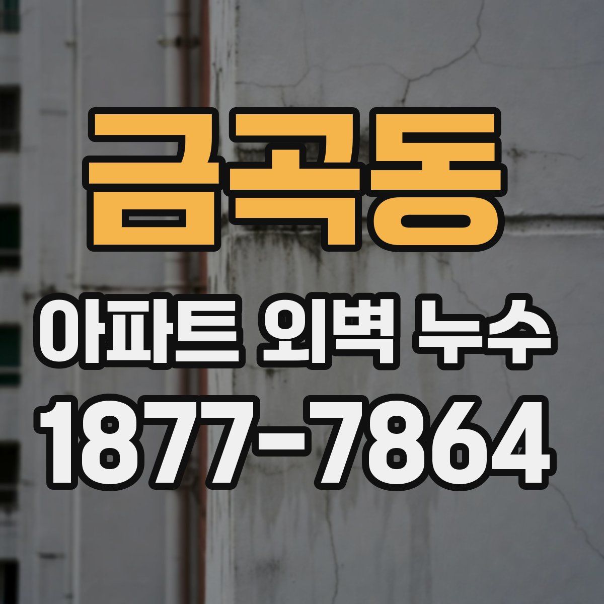 금곡동 아파트 외벽 누수
