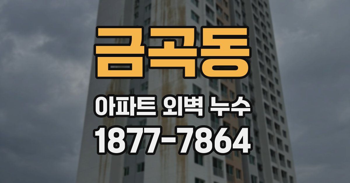금곡동 아파트 외벽 누수