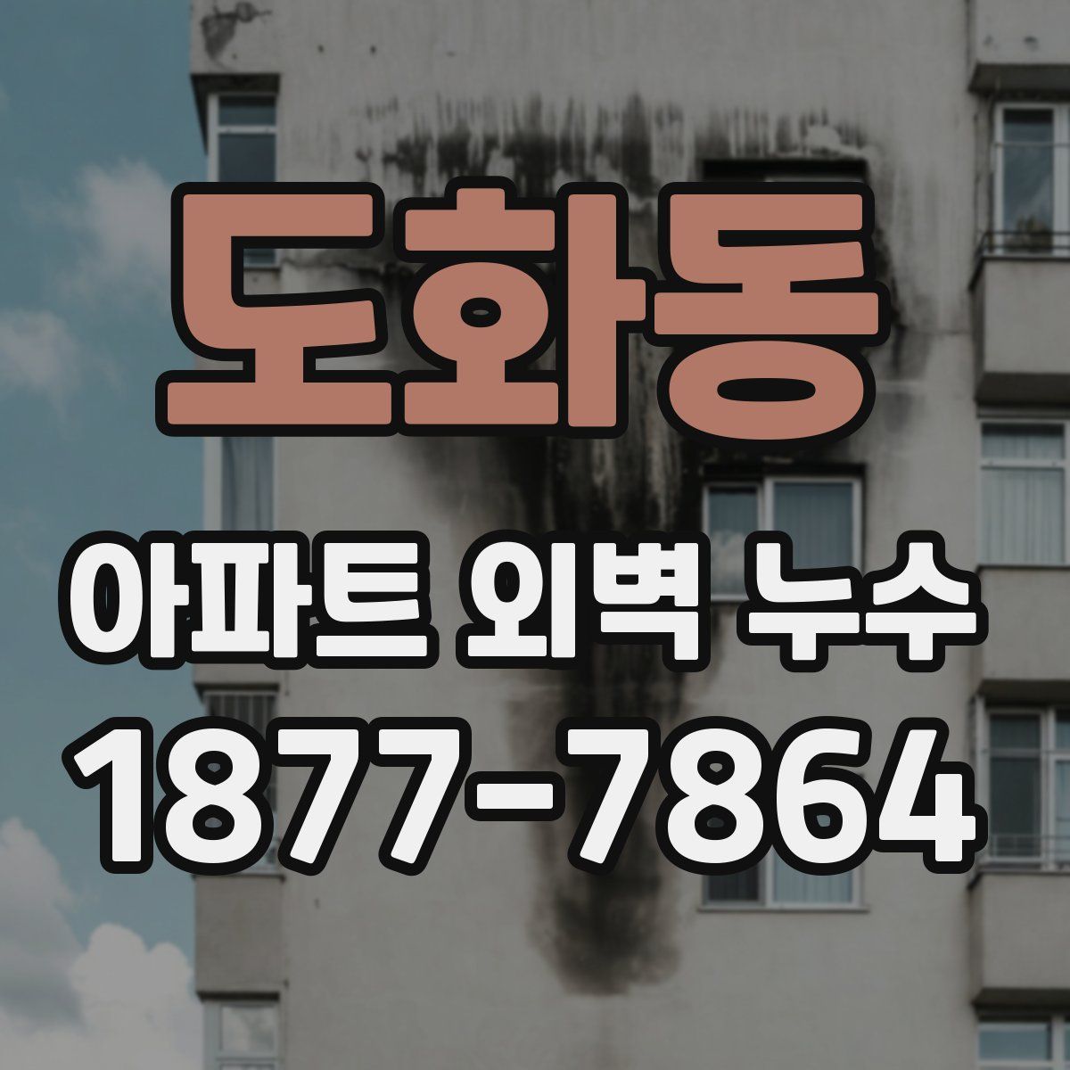 도화동 아파트 외벽 누수