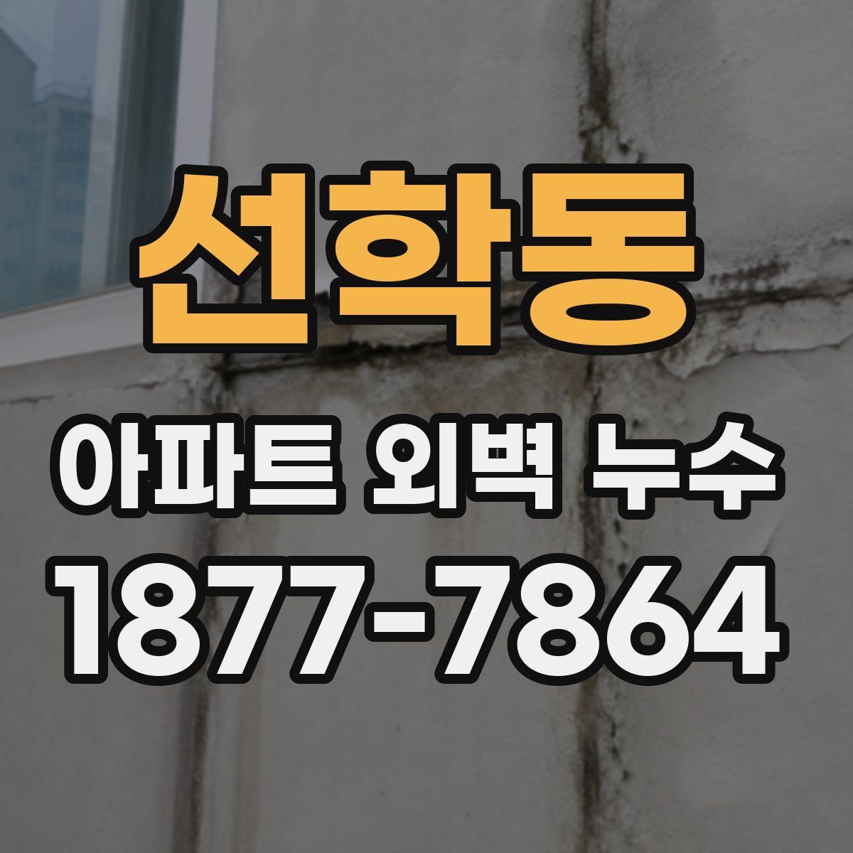 선학동 아파트 외벽 누수