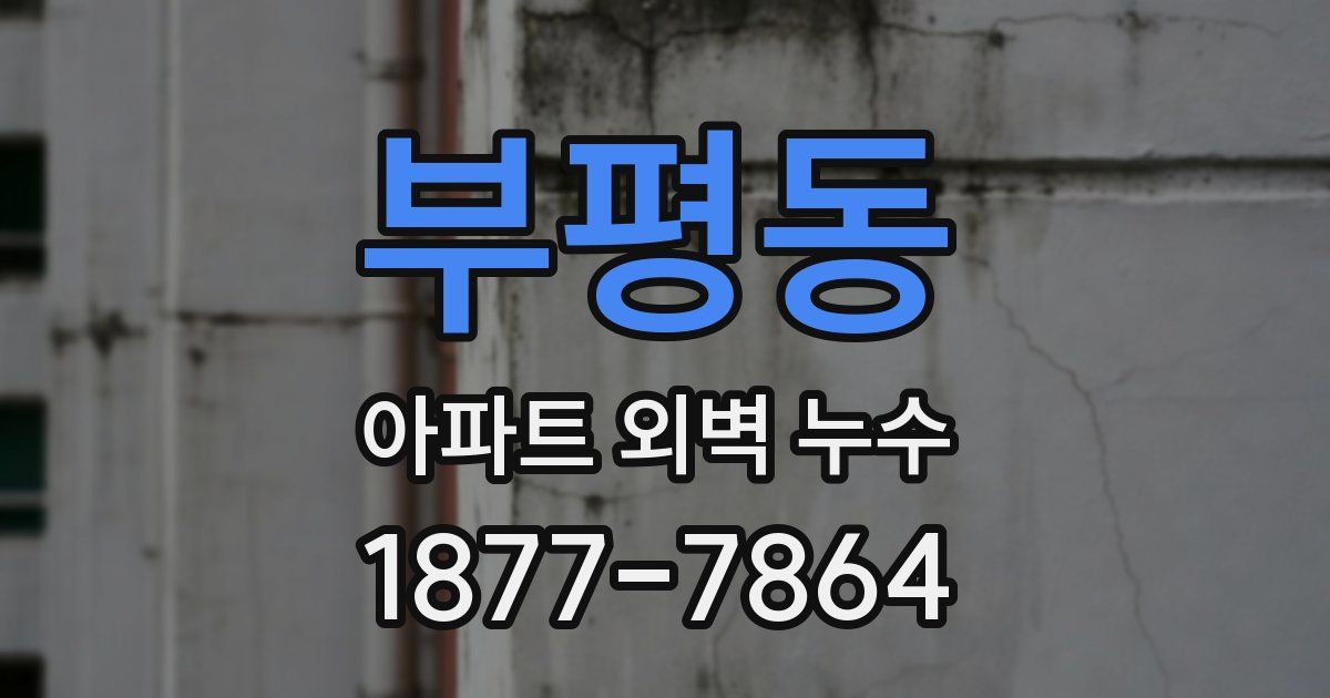 부평동 아파트 외벽 누수