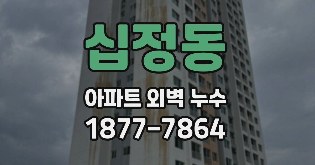 십정동 아파트 외벽 누수