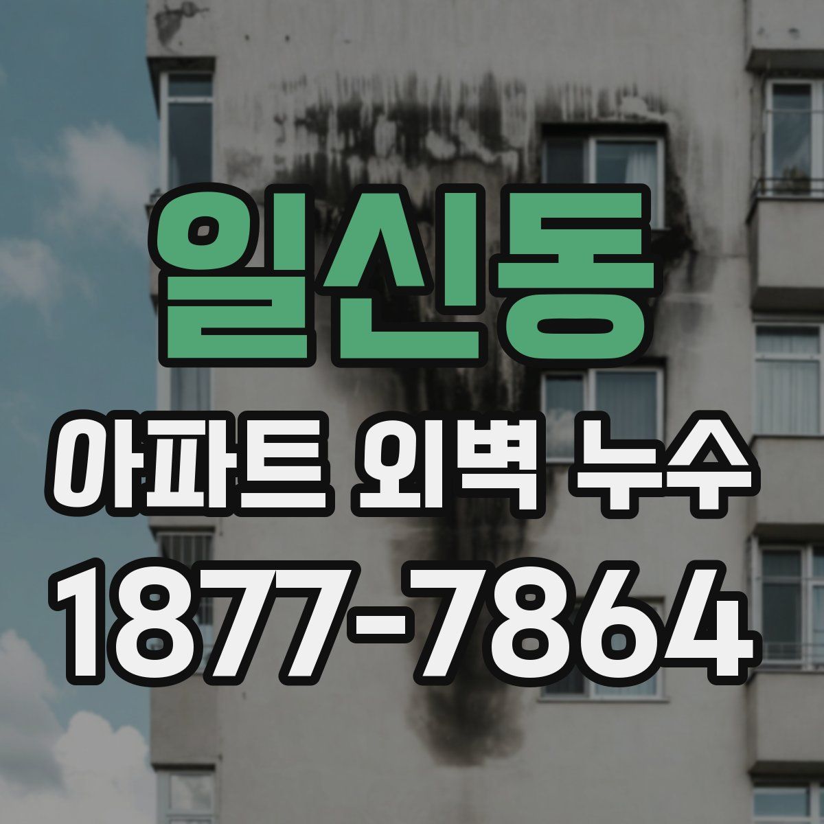 일신동 아파트 외벽 누수