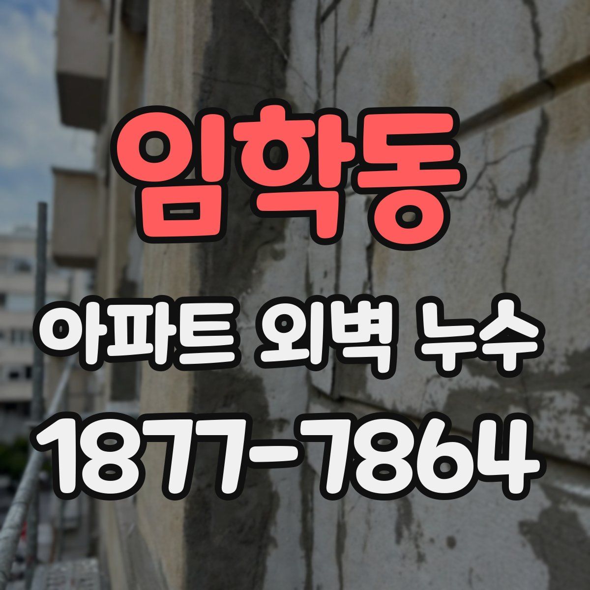 임학동 아파트 외벽 누수