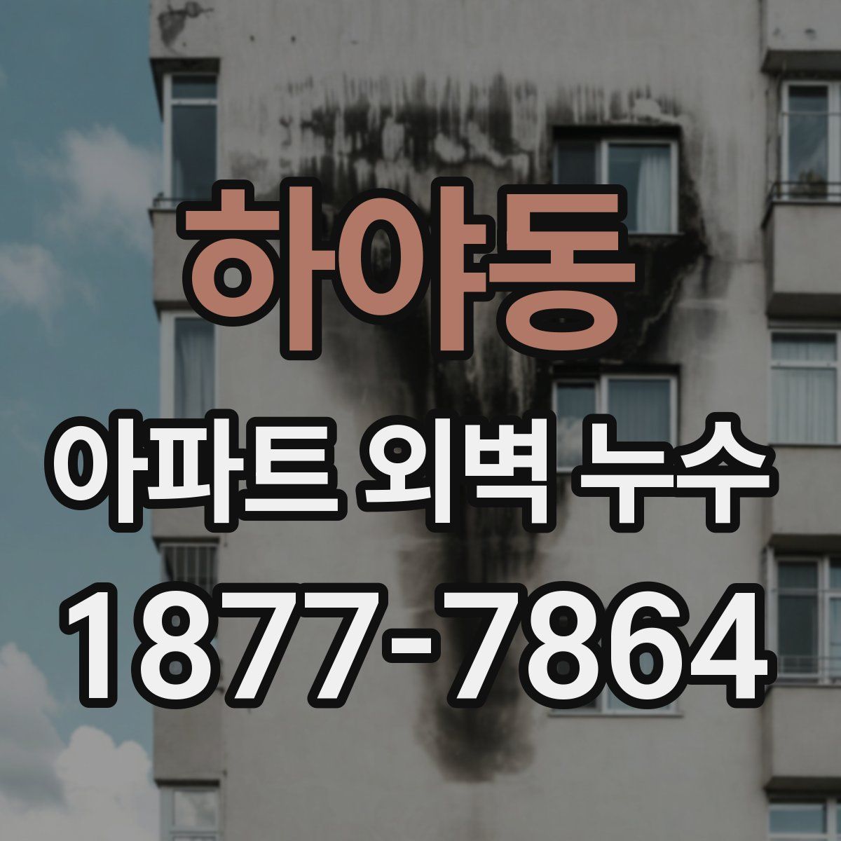 하야동 아파트 외벽 누수