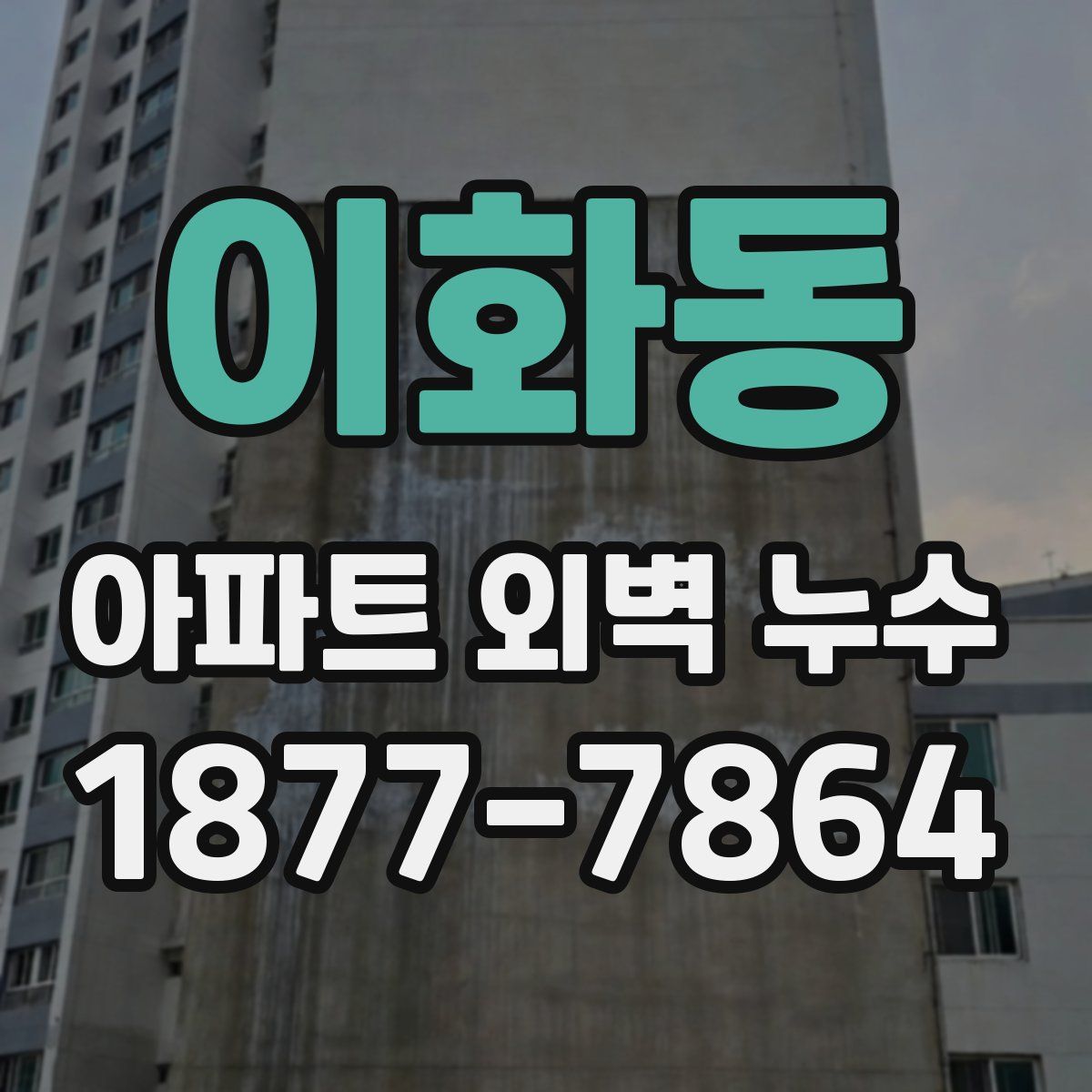 이화동 아파트 외벽 누수