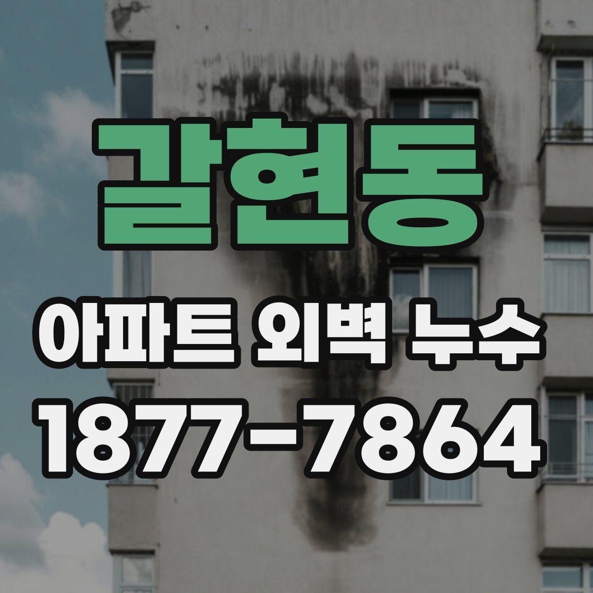 갈현동 아파트 외벽 누수