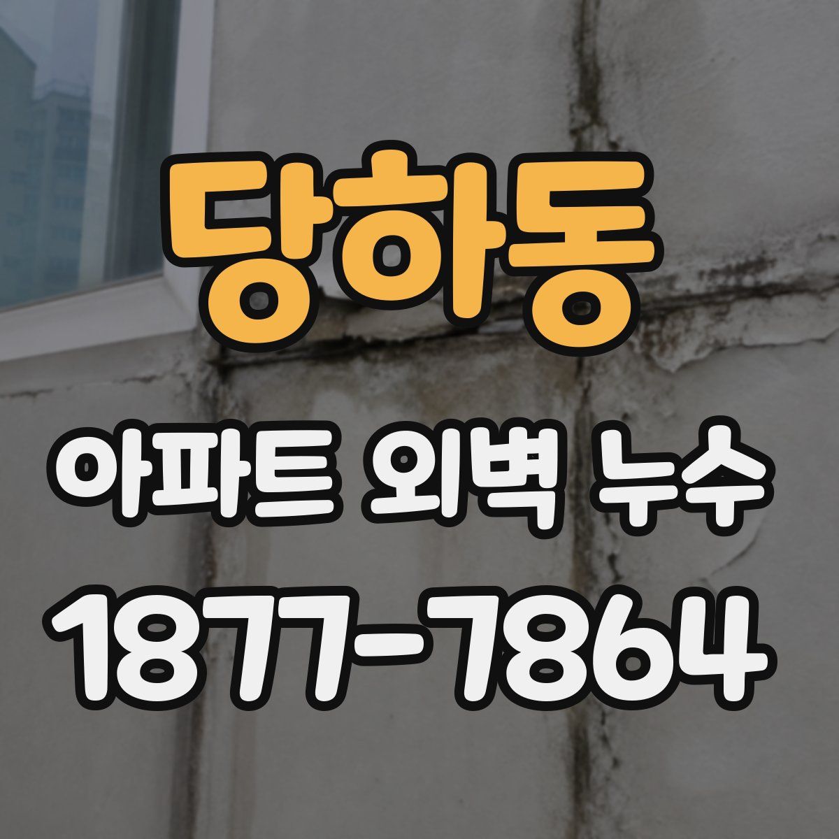 당하동 아파트 외벽 누수