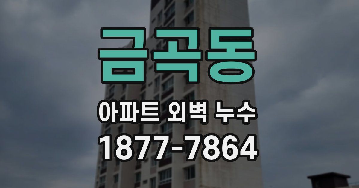 금곡동 아파트 외벽 누수