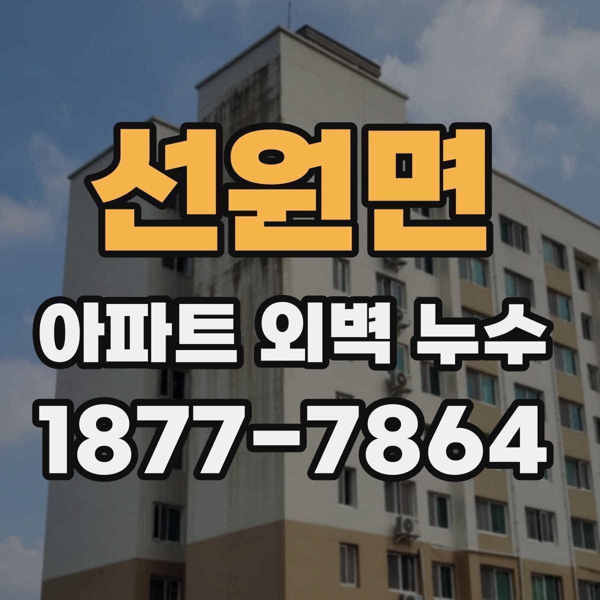 선원면 아파트 외벽 누수