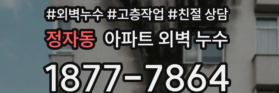 정자동 아파트 외벽 누수