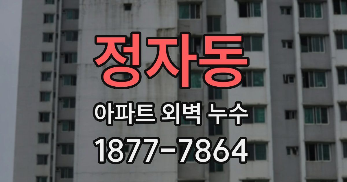 정자동 아파트 외벽 누수