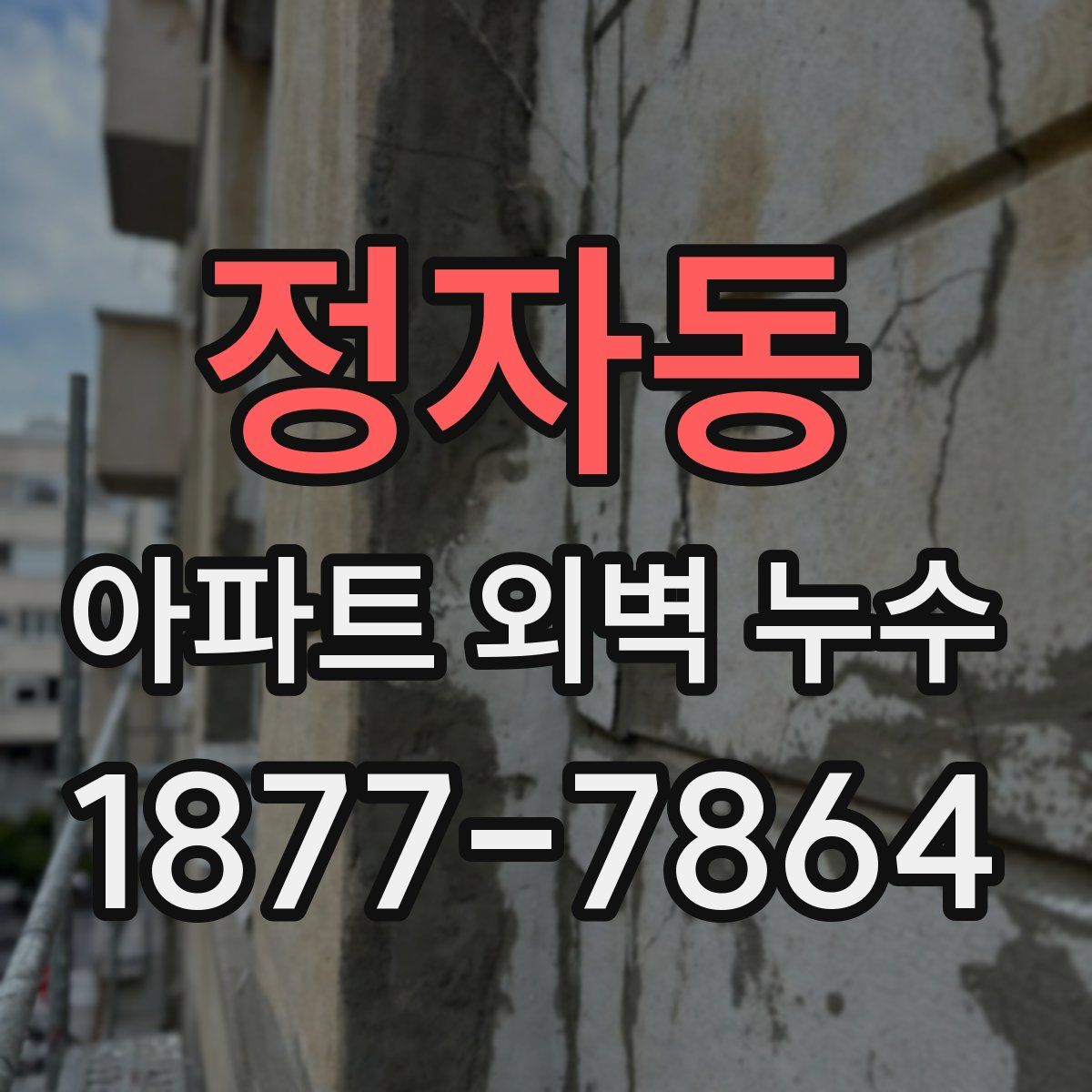 정자동 아파트 외벽 누수