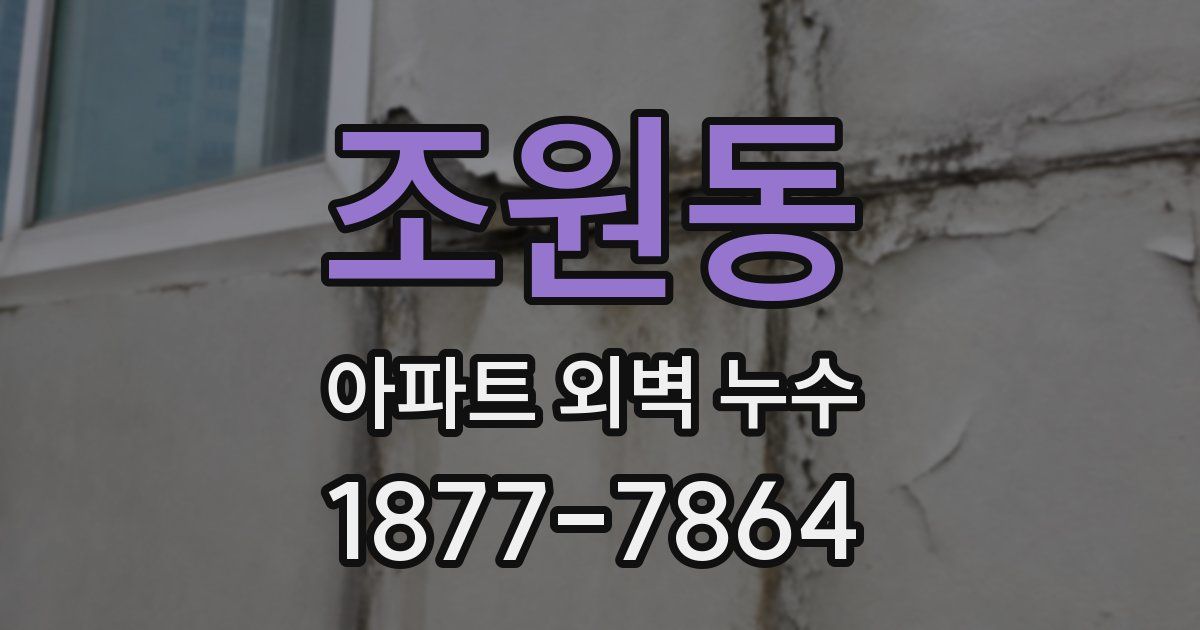 조원동 아파트 외벽 누수