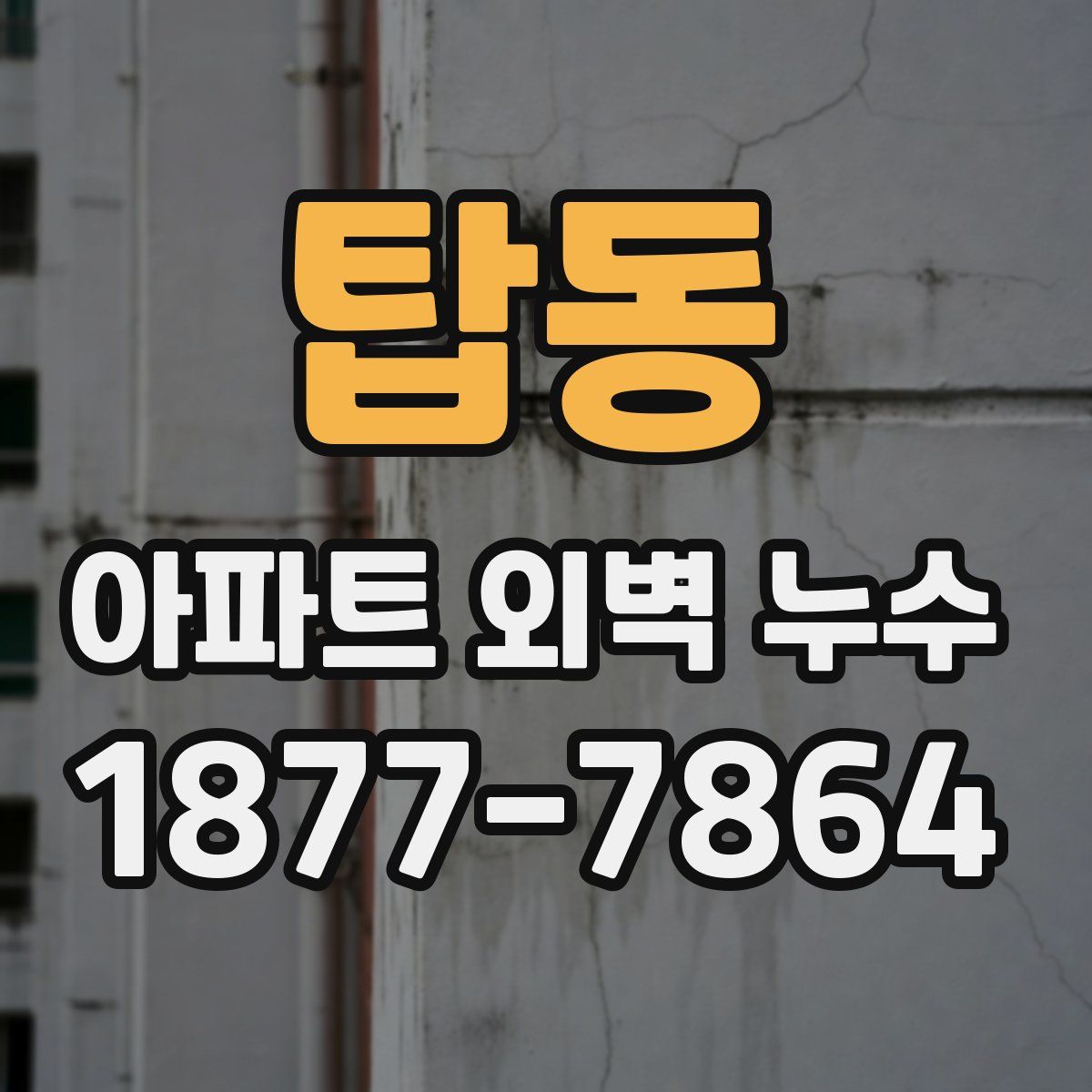 탑동 아파트 외벽 누수